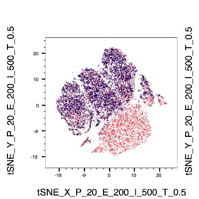 Research group in Iowa City that studies T cells and B cells and how they communicate with each other and their surroundings during parasitic infections