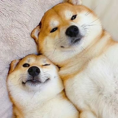 cocoa80752705's profile picture. hello