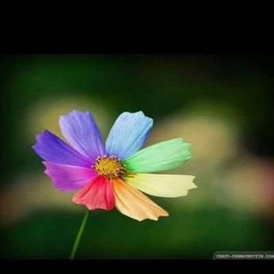 Psalm11808's profile picture. Social service