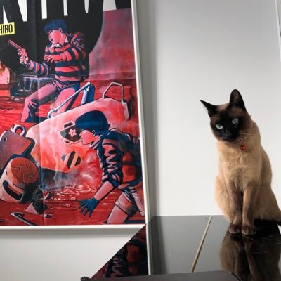 kichiweb's profile picture. もげもげ。