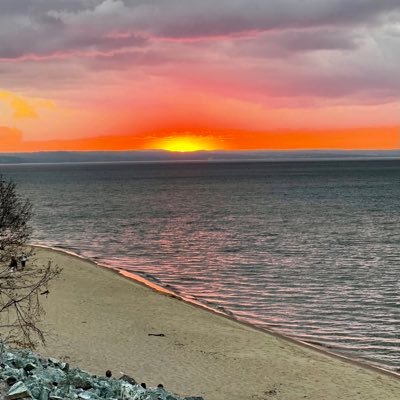 EveVela's profile picture. 