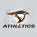 Anderson Athletics (@AthleticsAU) Twitter profile photo