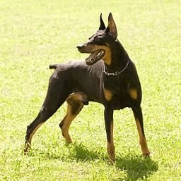 dgdg_hh's profile picture. …