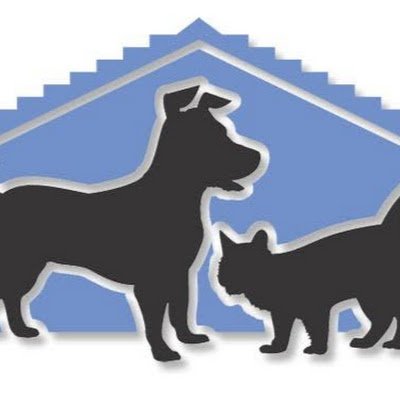 A Associação Casa do Cão e Gato - ACCG é um abrigo de animais localizado no Morro do Castro e, hoje, é lar para mais de 200 animais! Apoie essa causa!