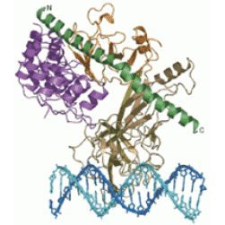 BlacklowLab Profile