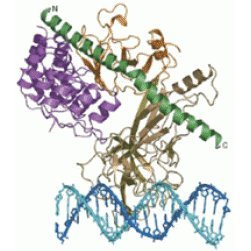 News from Steve Blacklow's Lab at @HarvardMed. Managed by lab staff, postdocs and grad students.