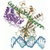 BlacklowLab (@blacklowlab) Twitter profile photo BlacklowLab (@blacklowlab) Twitter profile photo