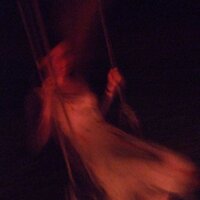 Dr Carina Girvan (@cgirvan) 's Twitter Profile Photo