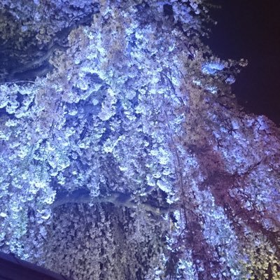 M19030413's profile picture. 