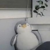 hhomeworkss's profile picture. รับทำการบ้าน สนใจDmมาได้เลยน้าาาาาาาา