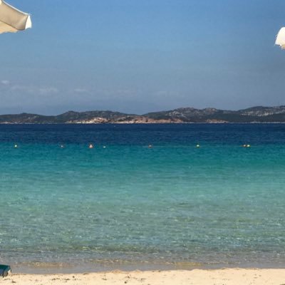 aru_stefano's profile picture. 