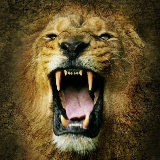 Green2J's profile picture. Living