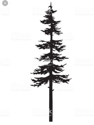 DR7Qsgzp1lbe4qX's profile picture. 引き