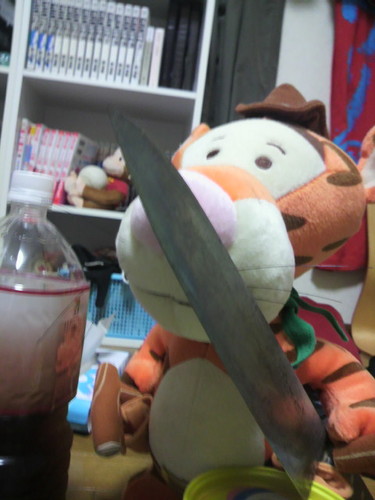 choc0_2's profile picture. 普通にチョコボです みんな元気か オレは煙りが出るくらい元気だった だったら、青汁飲もう あおじるーー