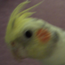 Jamie Hittman (@nimbustiel) Twitter profile photo Jamie Hittman (@nimbustiel) Twitter profile photo