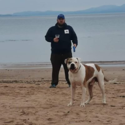 typeR85's profile picture. big laddie who loves cars