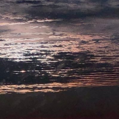 biu1_'s profile picture. 🧙(🧙‍♂️,🧙‍♂️)gnoma