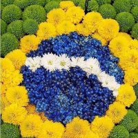 Wesley Badona (@16f67f85481d495) 's Twitter Profile Photo Wesley Badona (@16f67f85481d495) 's Twitter Profile Photo