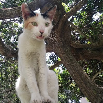 MBlombert's profile picture. 