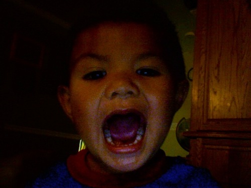 tiarerangi's profile picture. 