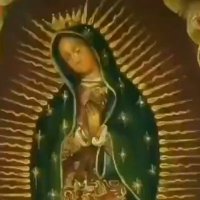 Periquita (@adrianariego) 's Twitter Profile