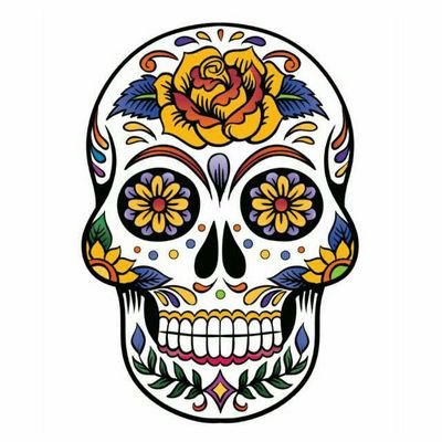 Ig0rmeister's profile picture. 