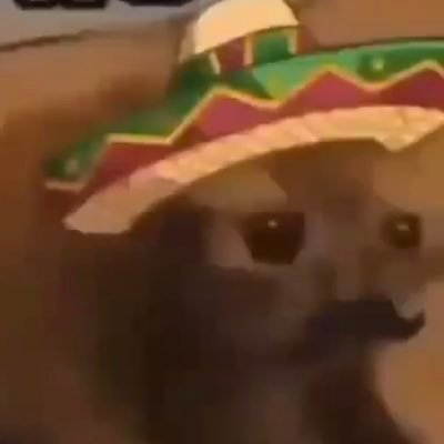 MindTravellerr's profile picture. 