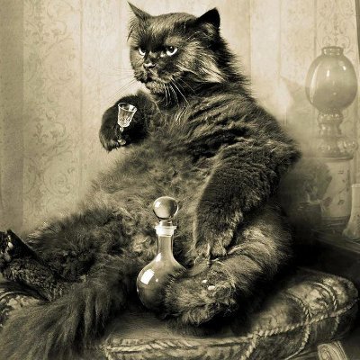 c_edopo's profile picture. 'Cause i m little fish in the sea but what u will do without me?
make the $plebs great again! ⚠️⚡
la tête dans les caissons. 🫡