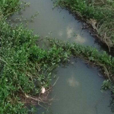 udon1115_15's profile picture. 業務上必要となり未経験で会計勉強します(アラサー商学部卒)大学時代全く勉強してなかったこと後悔。まずは簿記3級取ります。11月中目標。勉強されてる方フォローしていただければ嬉しいです✨頑張ります✋取得資格/HSK3級　#会計　#簿記　#英語　#中国語