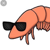 Shrimp Capital(@supershrimpcap) 's Twitter Profile Photo