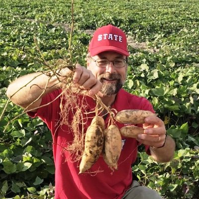 The Lab of @CraigYencho at @NCStateHort. We develop improved sweetpotato and potato varieties for North Carolina and beyond.