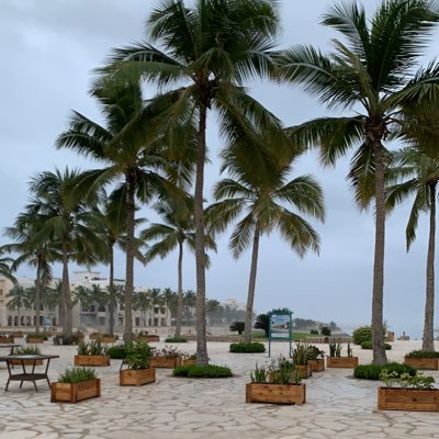 teacher__mm's profile picture. Educator&mathematician