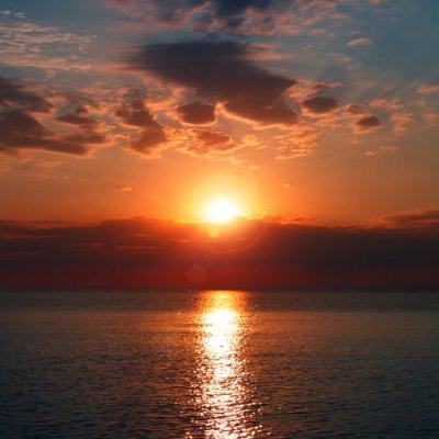 ApolloFbx's profile picture. 