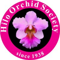 Hilo Orchid Society(@HiloOrchid) 's Twitter Profile Photo