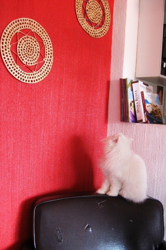 FotoAmadora's profile picture. Amante amadora da fotografia, amante da música brasileira e da poesia...