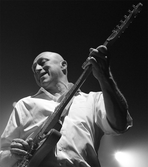 THEDAVIDWILCOX's profile picture. A Great Canadian Musician