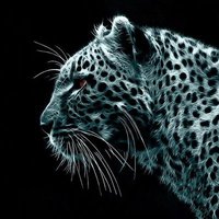سالم الحومـاني (@barceloni18) 's Twitter Profile