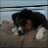 scheldt81's profile image