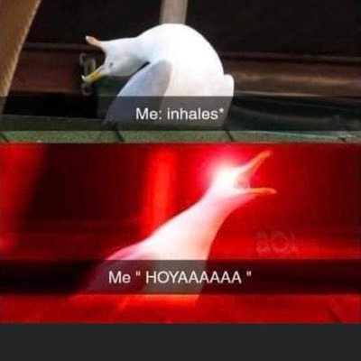 GMenchhofer's profile picture. sup