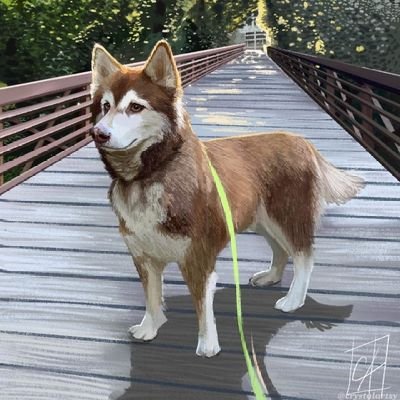 Eurekahhさんのプロフィール画像