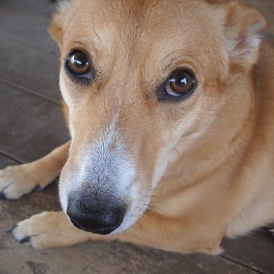 KimberlySteitz's profile picture. 