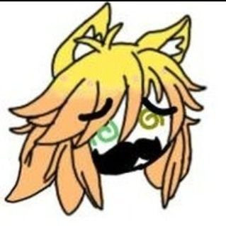 DafoxMango's profile picture. 