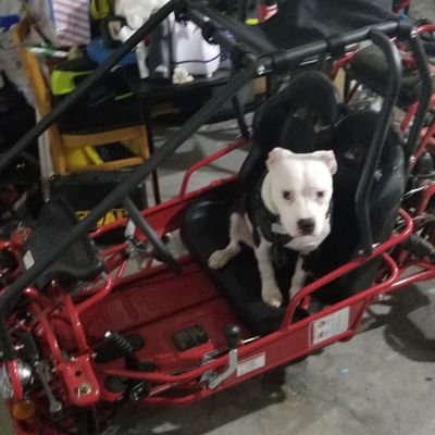 Thecarmaster1's profile picture.