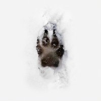 winter (@wiinter1777) 's Twitter Profile