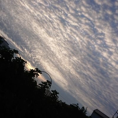 ETUYkA5pJBYXgkY's profile picture. 和太鼓とフラダンスを趣味に楽しんでいます。