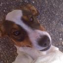 Henry Williams - @henrywilliams58 - Twitter