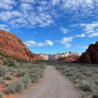 TheGoose5000's profile picture. Utah Jazz, NBA, NFL, and Fantasy Football are the topics I like to discuss on Twitter.