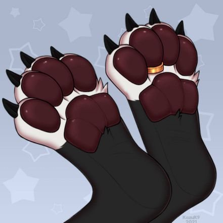 AD of you know who. 27. Mainly paws and feet (clean and dirty) ¯\_uwu_/¯
foot size 8.5 US
I'm really really shy!
🔞🔞🔞