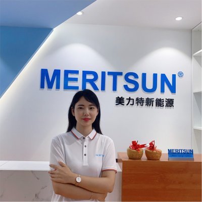Meritsun is a professioanl battery factory which focus on the R&D of VRLA&Lithium batteries since 1999, widely used for RV,Yachat, telecom,solar residential.