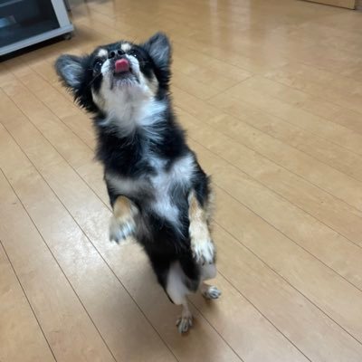 ERDaEyORBoo7T9's profile picture. ゲームが趣味です。